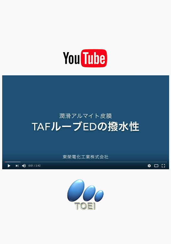 catalog イメージ